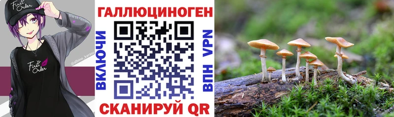 что такое   Сосенский  Галлюциногенные грибы ЛСД 